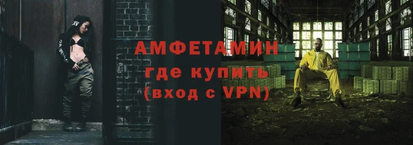 шишки Бородино