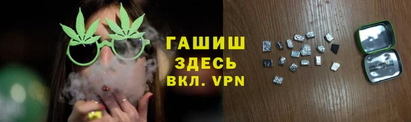 шишки Бородино