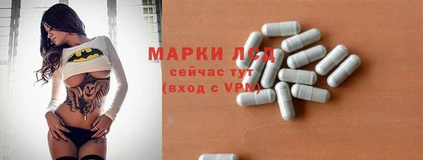 шишки Бородино