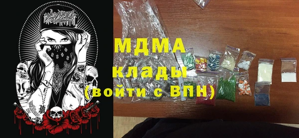 шишки Бородино