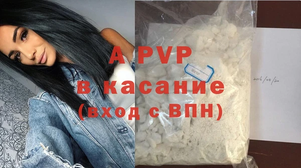 шишки Бородино