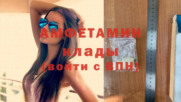шишки Бородино