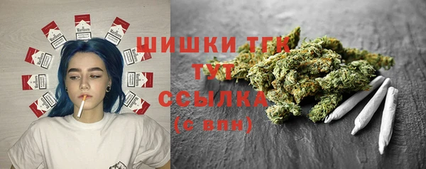 шишки Бородино