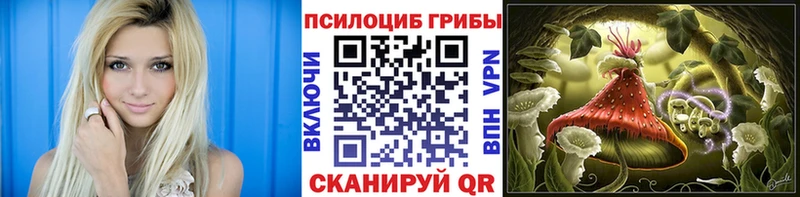 хочу   Хабаровск  ОМГ ОМГ ссылка  Галлюциногенные грибы прущие грибы 